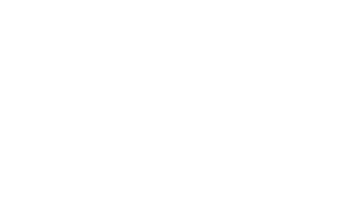 notFound.circleAlt